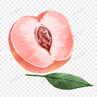 WWW,av125·COM网站APPAPP应用