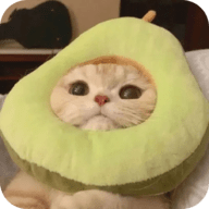 西瓜视频免费最新版